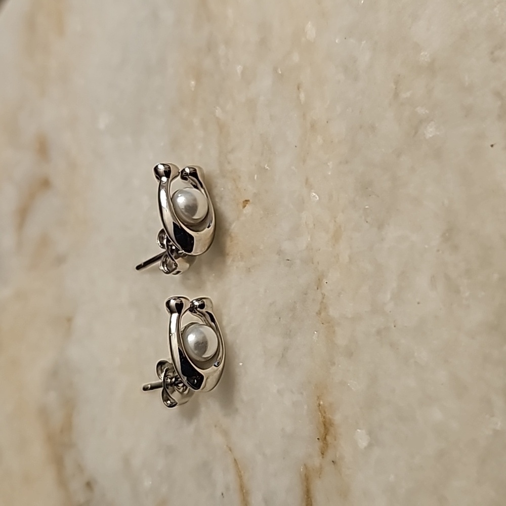 Coach earrings signature